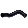 Molded Radiator Hose - image 1
