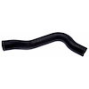 Molded Radiator Hose - image 1