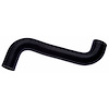 Molded Radiator Hose - image 1