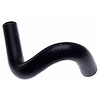 Molded Radiator Hose - image 1