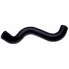 Molded Radiator Hose - image 1