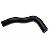 Molded Radiator Hose - image 1
