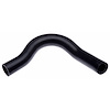 Molded Radiator Hose - image 1