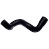Molded Radiator Hose - image 1