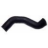 Molded Radiator Hose - image 1
