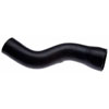 Molded Radiator Hose - image 1