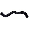 Molded Radiator Hose - image 1