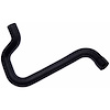 Molded Radiator Hose - image 1