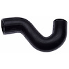 Molded Radiator Hose - image 1
