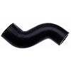 Molded Radiator Hose