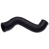 Molded Radiator Hose - image 1