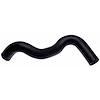 Molded Radiator Hose - image 1