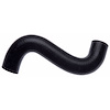 Molded Radiator Hose - image 1