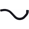 Molded Radiator Hose - image 1