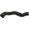 Molded Radiator Hose - image 1