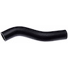 Molded Radiator Hose