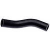 Molded Radiator Hose - image 1