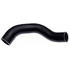 Molded Radiator Hose - image 1