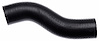 Coolant Hose - Molded - image 1