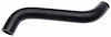 Coolant Hose - Molded - image 1
