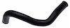 Coolant Hose - Molded - image 1