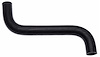 Coolant Hose - Molded - image 1