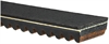 RECREATIONAL BELTS - G-FO - image 1