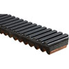 BELT - image 2
