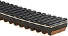 Recreational Belts - G-Force