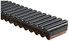 Recreational Belts - G-Force C12 - image 1