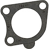 Thermostat Gaskets - image 1