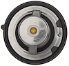 THERMOSTATS - image 1