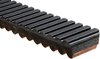 Recreational Belts - G-Force C12 - image 2