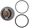 THERMOSTATS - image 2
