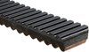Recreational Belts - G-Force C12 - image 2