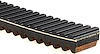 Recreational Belts - G-Force