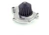 LIGHT DUTY WATER PUMPS - image 3