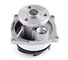 LIGHT DUTY WATER PUMPS - image 1