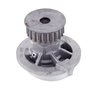 LIGHT DUTY WATER PUMPS - image 4