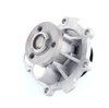 LIGHT DUTY WATER PUMPS - image 4
