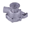 LIGHT DUTY WATER PUMPS - image 1