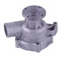 LIGHT DUTY WATER PUMPS - image 2