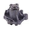 LIGHT DUTY WATER PUMPS - image 1