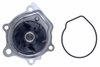 LIGHT DUTY WATER PUMPS - image 2
