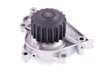 LIGHT DUTY WATER PUMPS - image 2