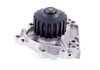 LIGHT DUTY WATER PUMPS - image 4