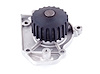LIGHT DUTY WATER PUMPS - image 1