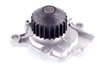 LIGHT DUTY WATER PUMPS - image 2