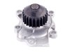 LIGHT DUTY WATER PUMPS - image 4