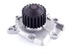 LIGHT DUTY WATER PUMPS - image 2